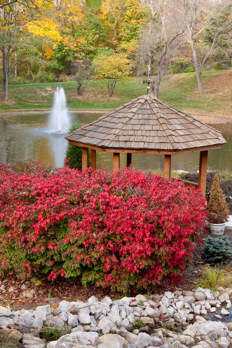 Image of Meadowood Senior Living (3)