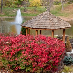 Image of Meadowood Retirement Community (3)