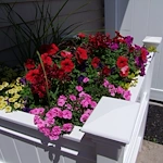 Image of Courtyard Estates of Farmington (2)