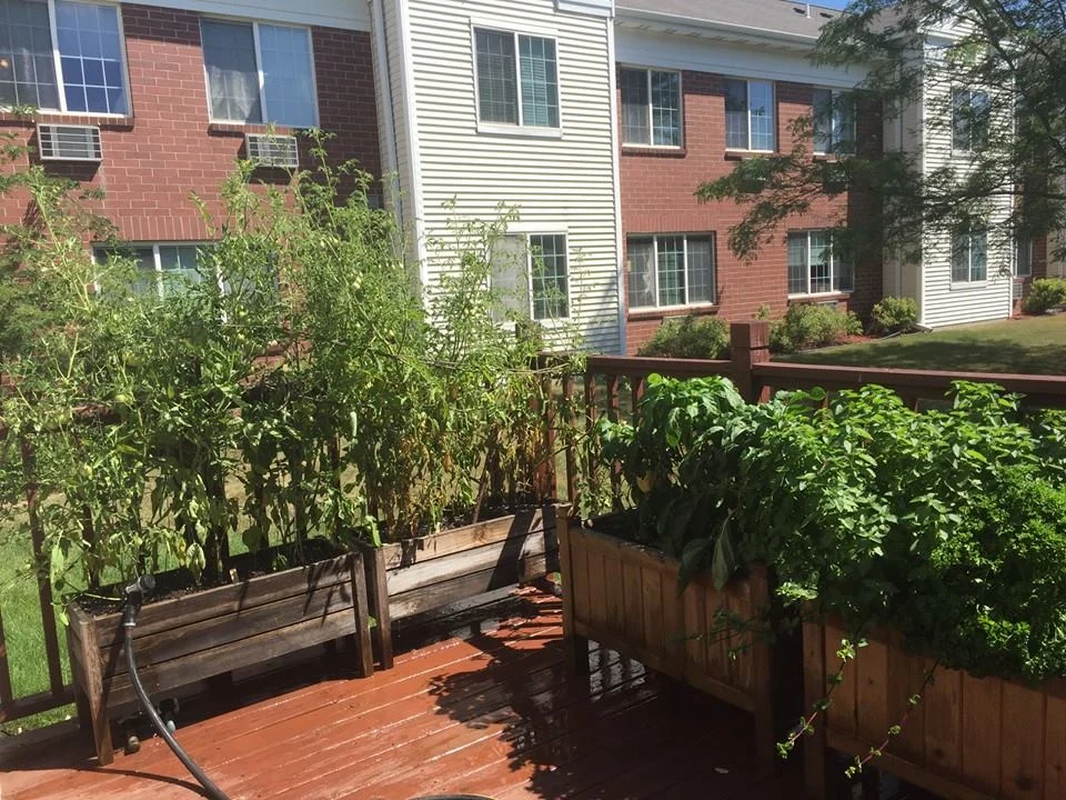 Image of Cornerstone of Oak Creek (4)