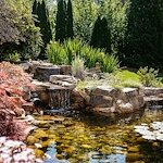 Image of The Cypress of Raleigh (6)
