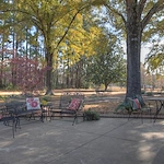 Image of Arbor Oaks Healthcare and Rehabilitation (4)