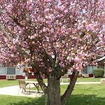Image of Jefferson City Health And Rehab Center (2)