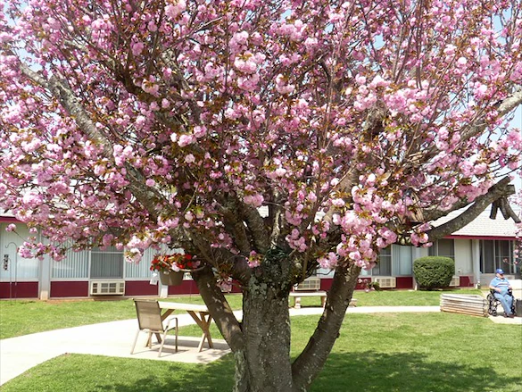 Image of Jefferson City Health And Rehab Center (2)