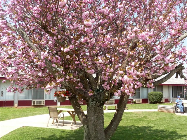 Image of Jefferson City Health And Rehab Center (2)