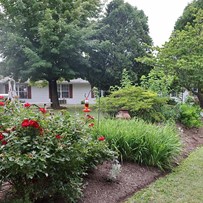 Image of William Penn Nursing And Rehab (5)