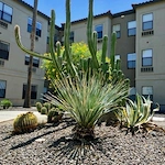 Image of Gardens Care Senior Living - Scottsdale (3)