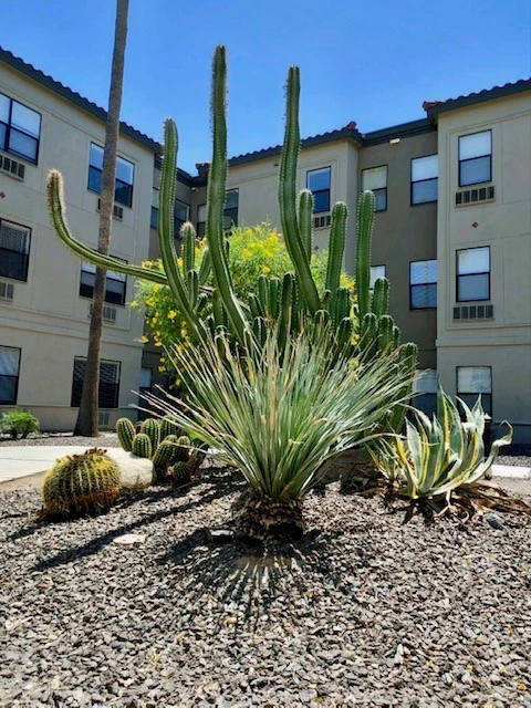 Image of Gardens Care Senior Living - Scottsdale (3)