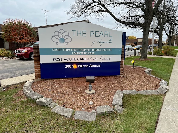 Image of The Pearl Of Naperville (1)