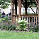 Image of Benedictine Living Healthcare St. Gertrude's and the Gardens (8)