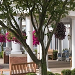 Image of Kingston Residence of Sylvania (4)