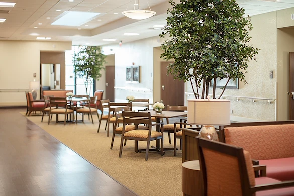 Image of Trellis Chino (5)