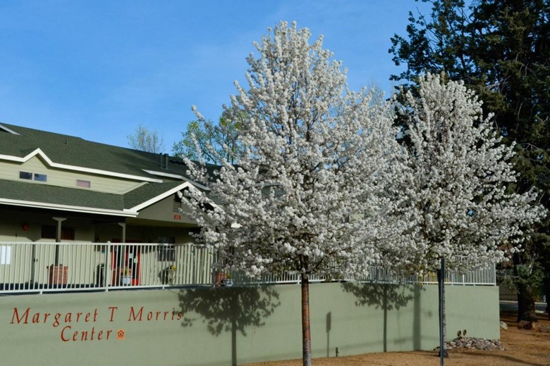 Image of Margaret T Morris Center (1)