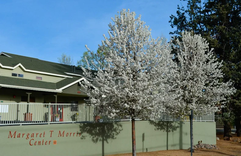 Image of Margaret T Morris Center (1)