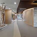 Image of The Woodlands (6)