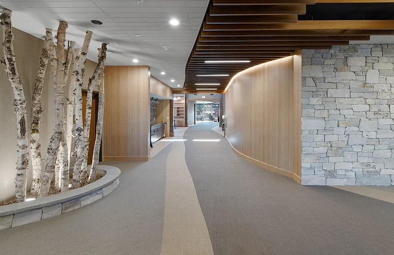 Image of The Woodlands (6)