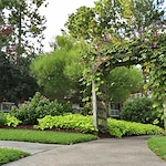 Image of St James Place Nursing Care Center (3)