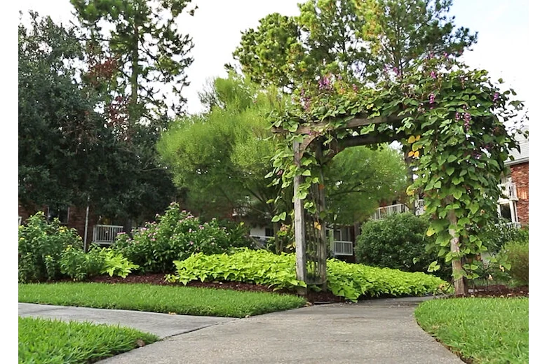 Image of St James Place Nursing Care Center (3)