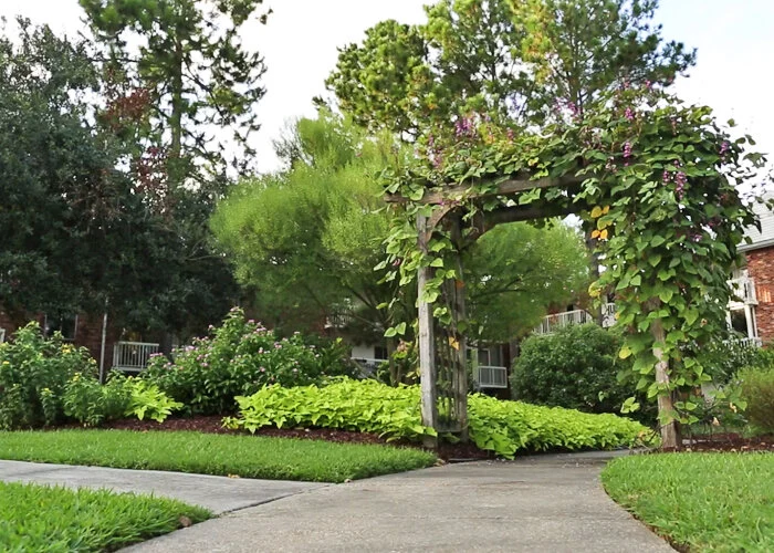 Image of St James Place Nursing Care Center (3)