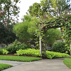 Image of St James Place Nursing Care Center (3)