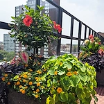 Image of Selfhelp Home Of Chicago Senior Living (3)