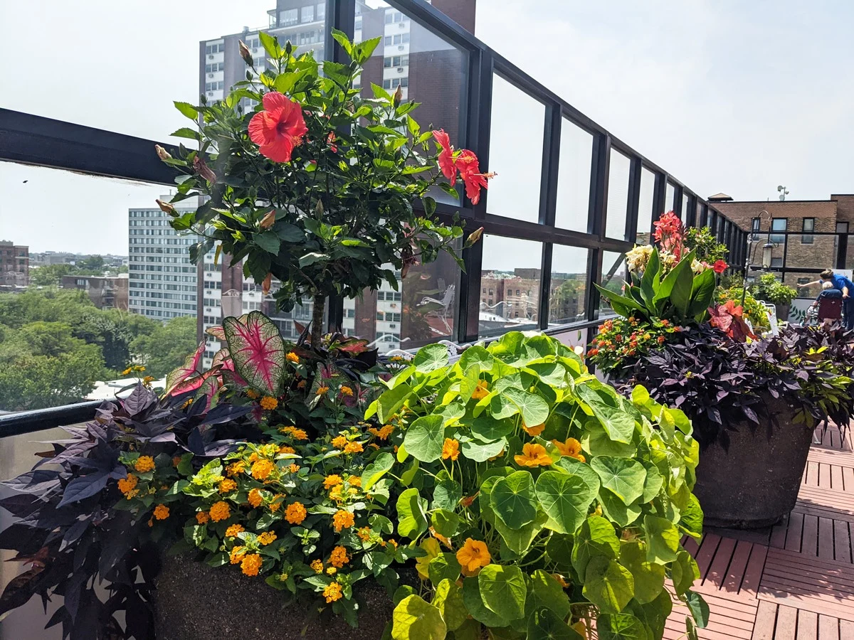 Image of Selfhelp Home Of Chicago Senior Living (3)