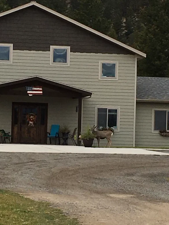 Image of Bear Grass Suites Senior Assisted Living (1)