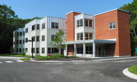 Image of Oak Leaf 2 (1)