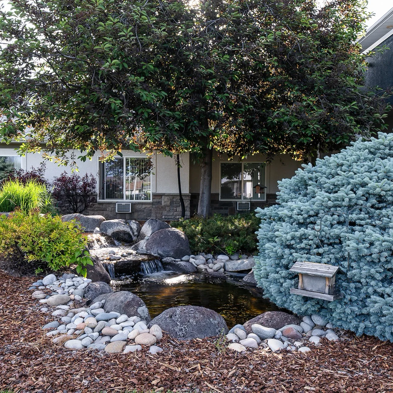 Image of Meadow View Assisted Living & Memory Care (3)
