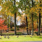 Image of Kirby Pines Manor (7)