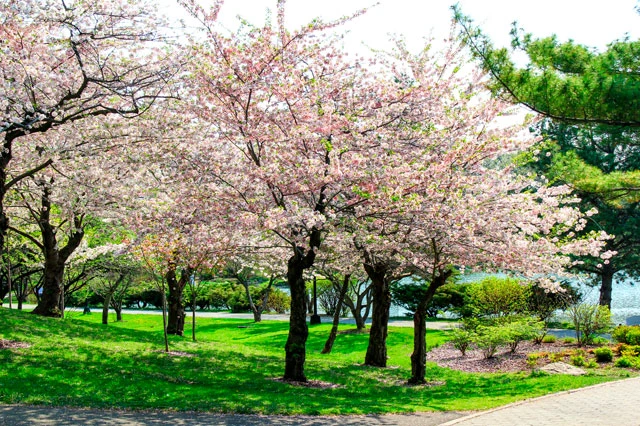 Image of Connect55+ Orchard Park (4)