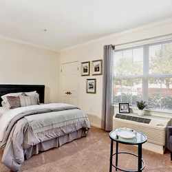 Image of Kirkwood Orange (3)