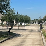 Image of The Villas of Lake Charles (10)