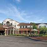 Image of Pines of Mt. Lebanon (1)