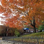 Image of The Estates At Linden LLC (1)