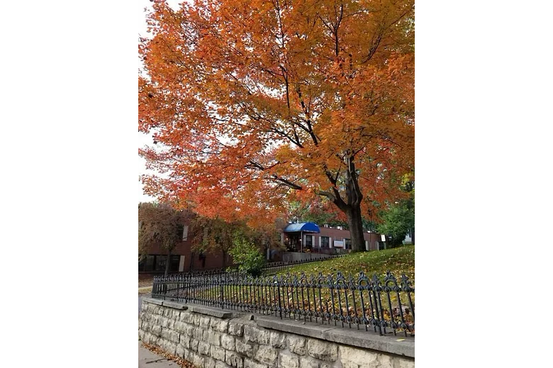 Image of The Estates At Linden LLC (1)