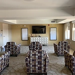 Image of Silver Birch at Cook Road (6)