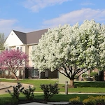 Image of The Windsor of Savoy (3)