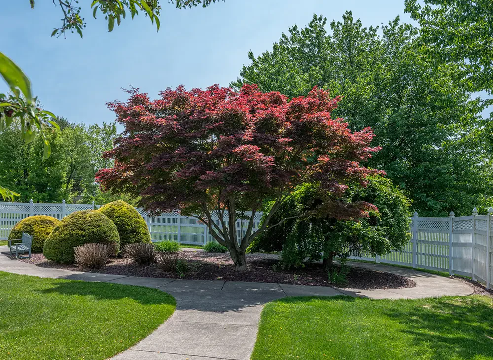 Image of Linden Village (10)