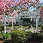 Image of The Arbors at Amherst (2)