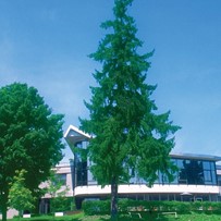 Image of Home Sweet Home on the Hudson (1)