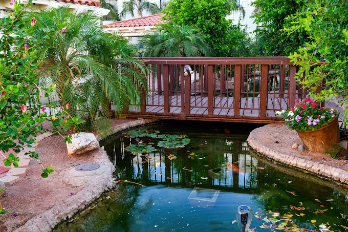 Image of Reflections At The Oasis Fellowship Square Mesa (3)