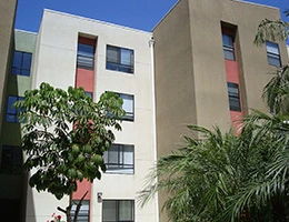 Image of Colonia Jess Lopez (3)