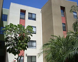Image of Colonia Jess Lopez (3)