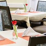 Image of Windrose at Weymouth (8)