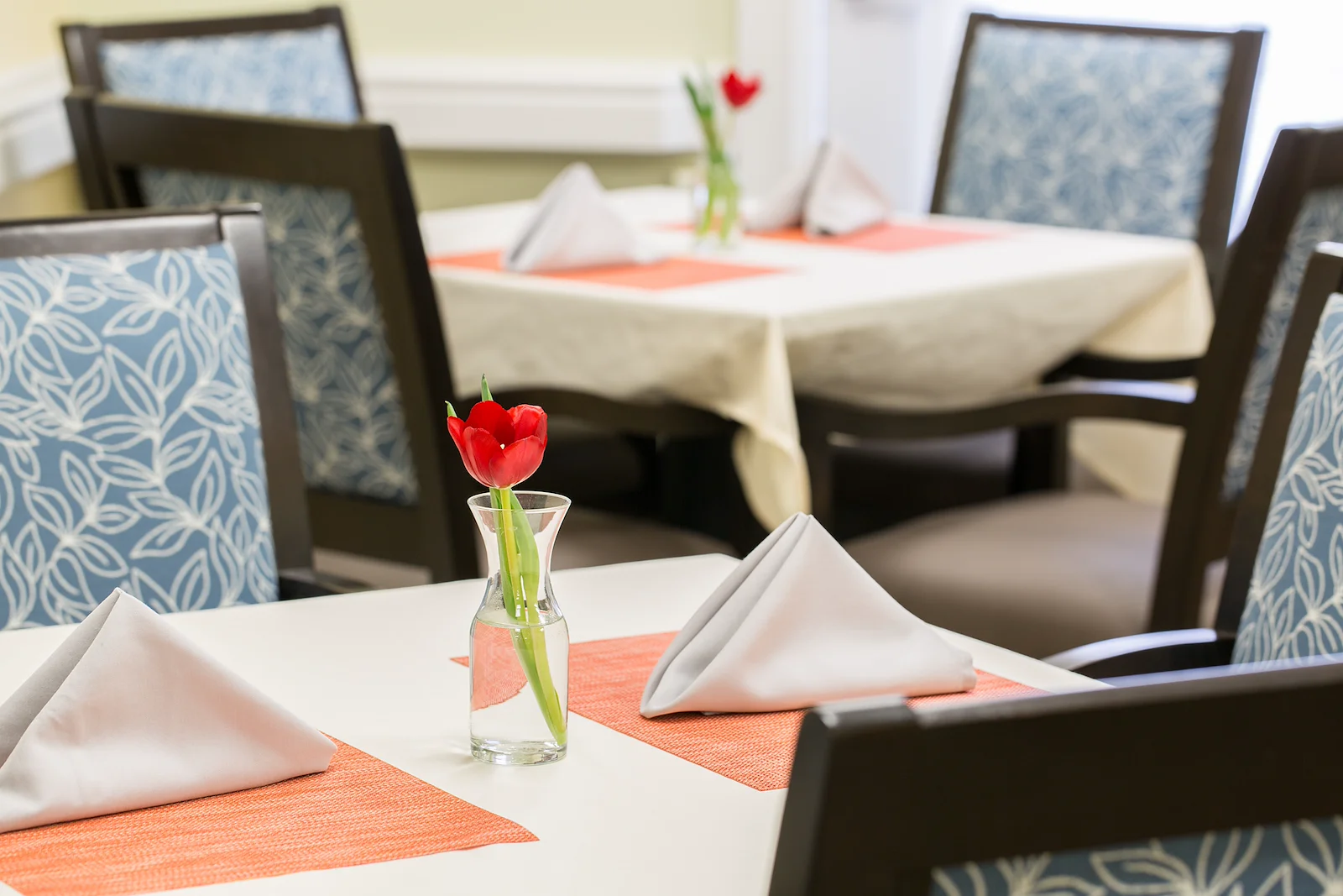 Image of Windrose at Weymouth (8)