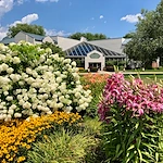 Image of Livewell Connecticut (1)