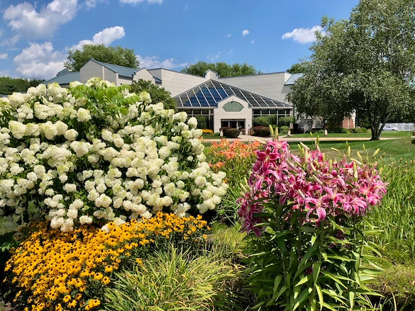 Image of Livewell Connecticut (1)