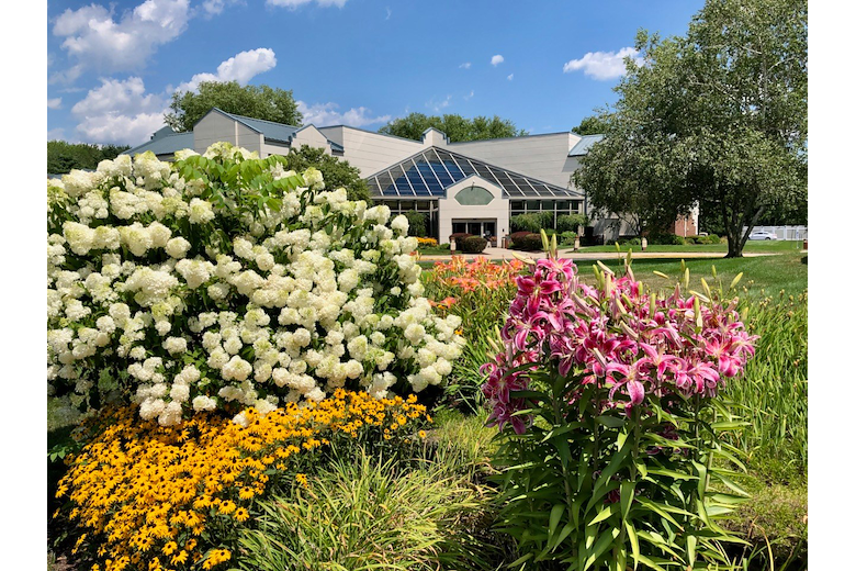 Image of Livewell Connecticut (1)