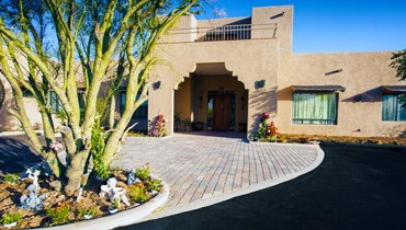 Image of Lemon Tree (1)